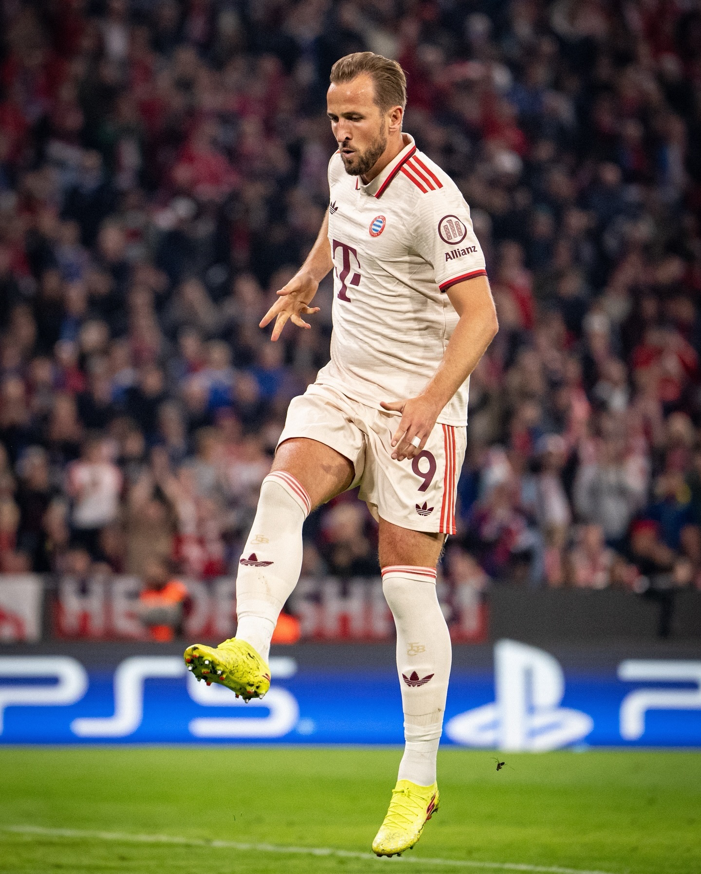 关于TL引发争议！，凯恩官方宣布险胜新规上演精彩一战的信息-九游会娱乐平台